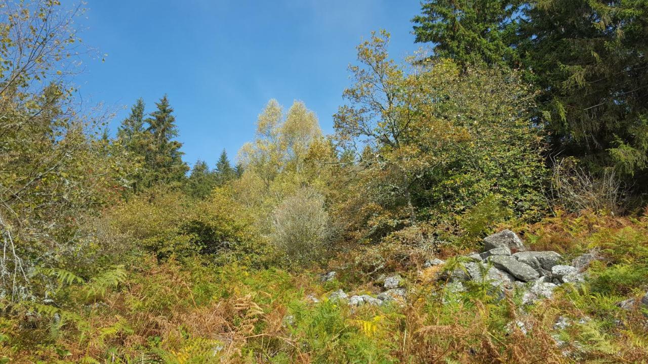 Gite De Sauviat 25 Chemin Du Grand Pacher Le Bourg De Sauviat 63120 Экстерьер фото