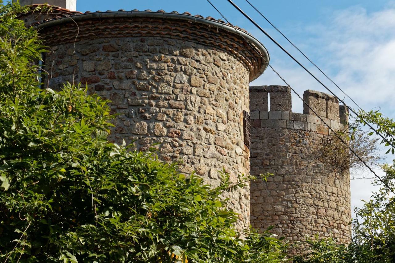 Gite De Sauviat 25 Chemin Du Grand Pacher Le Bourg De Sauviat 63120 Экстерьер фото