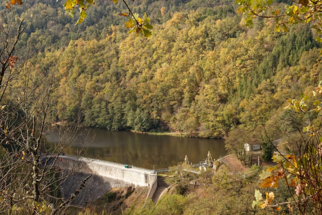 Gite De Sauviat 25 Chemin Du Grand Pacher Le Bourg De Sauviat 63120 Экстерьер фото